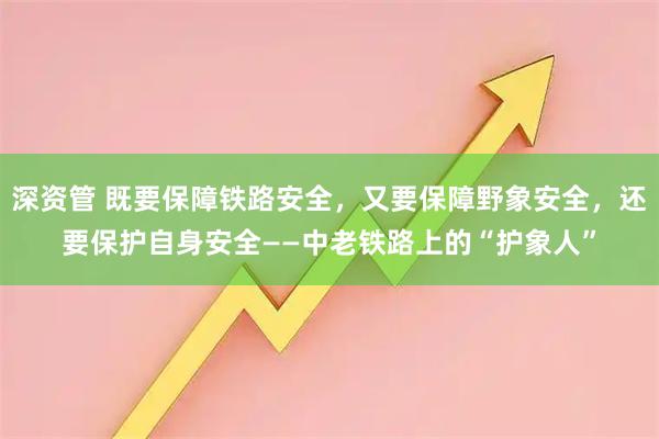 深资管 既要保障铁路安全，又要保障野象安全，还要保护自身安全——中老铁路上的“护象人”