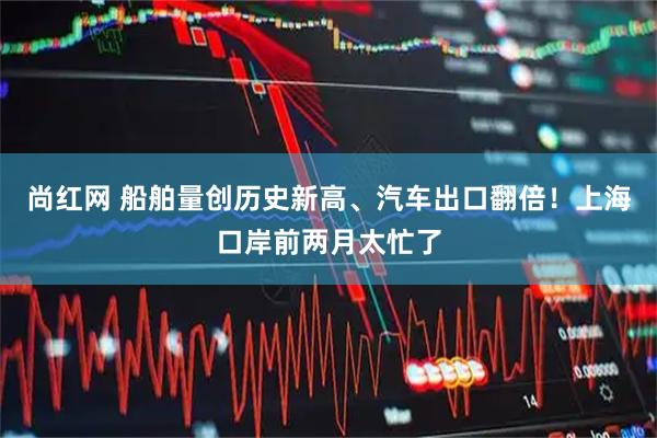 尚红网 船舶量创历史新高、汽车出口翻倍！上海口岸前两月太忙了