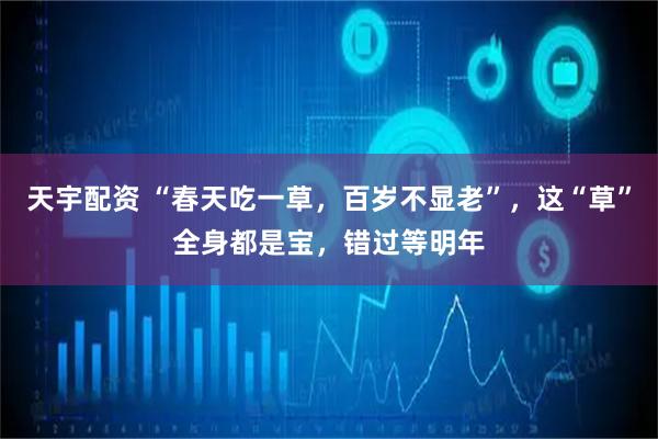 天宇配资 “春天吃一草，百岁不显老”，这“草”全身都是宝，错过等明年