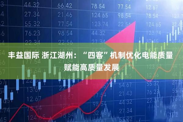 丰益国际 浙江湖州：“四客”机制优化电能质量 赋能高质量发展